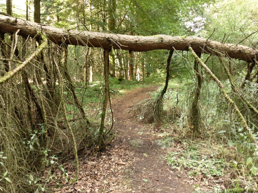 Waldsterben