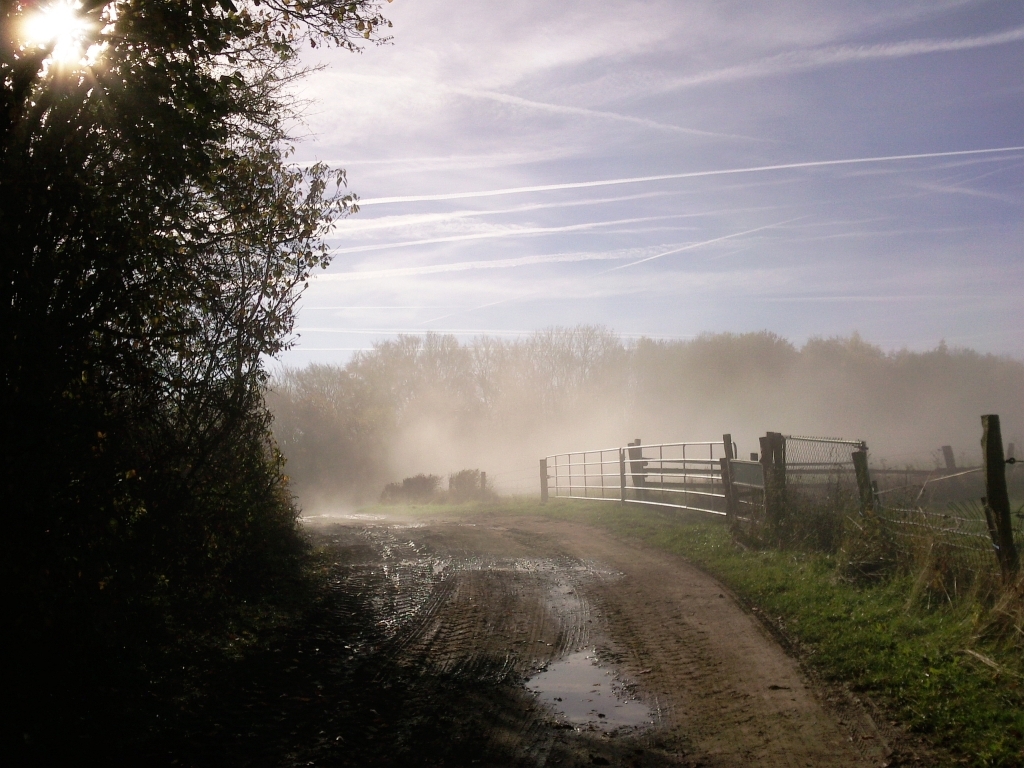 Flugdreck